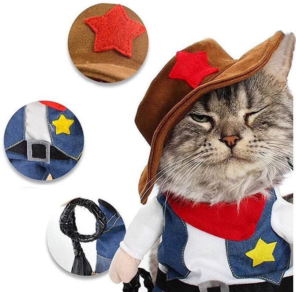 Cat wearing a cowboy costume with accessories on a white background