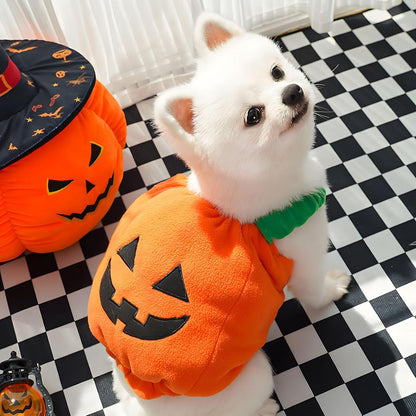 Pumpkin Pupper