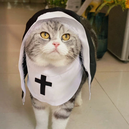 Holy Paws