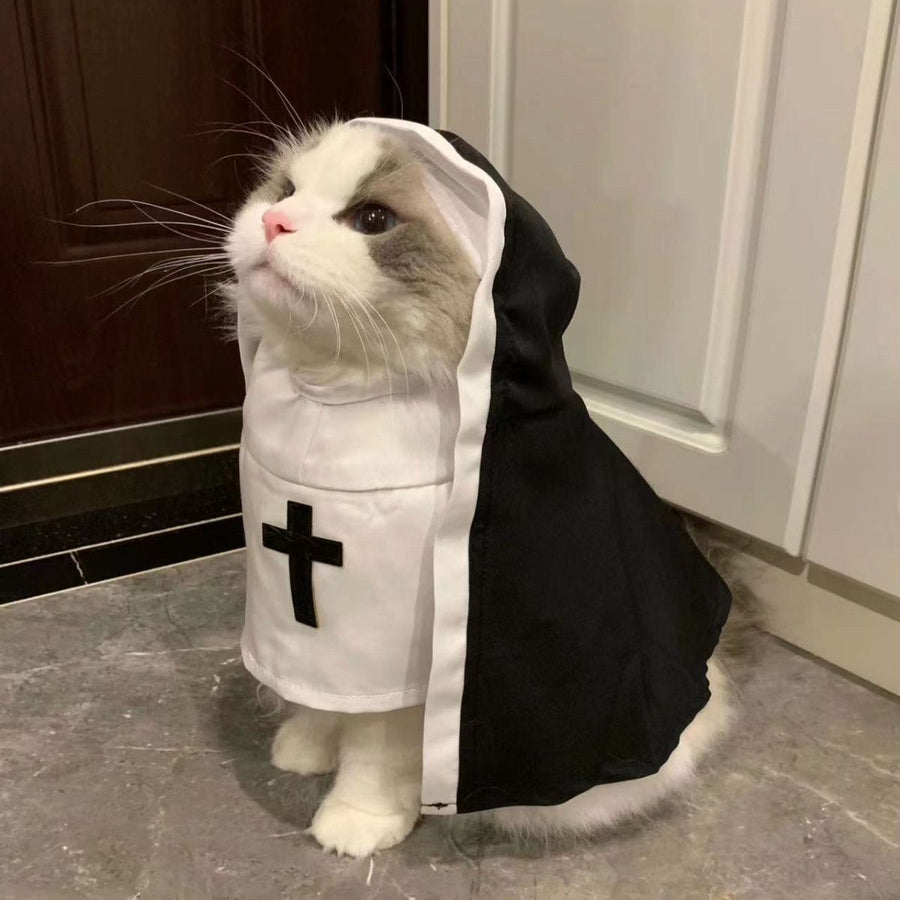 Holy Paws
