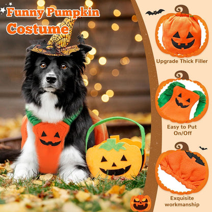 Pumpkin Pupper