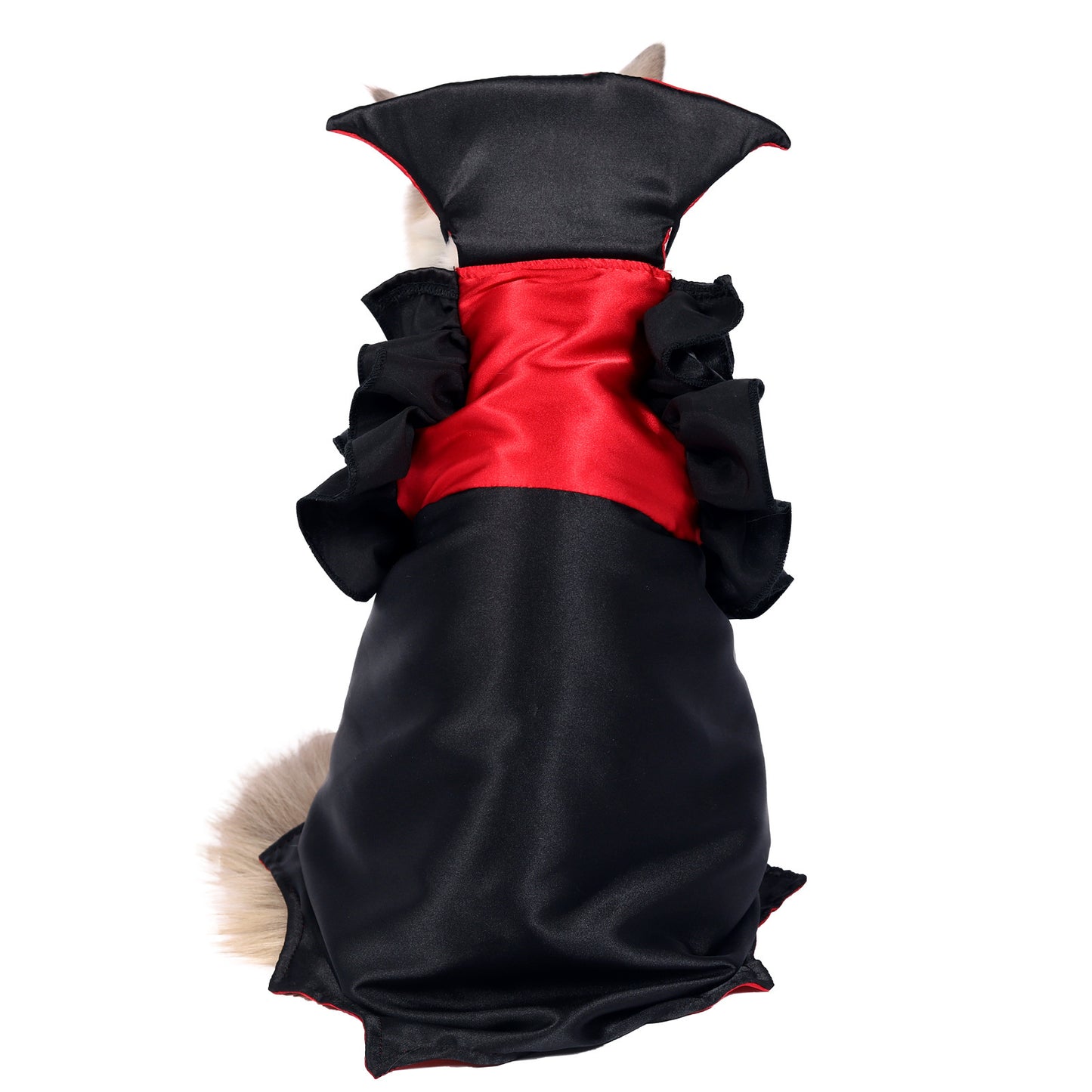 Count Catula