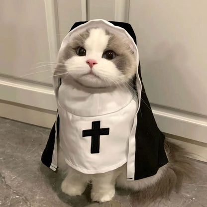 Holy Paws