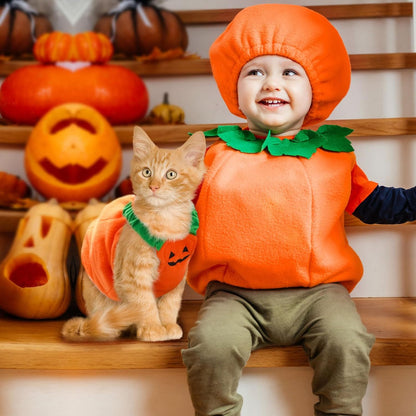 Pumpkin Pupper